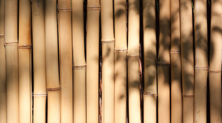 Belle et bonne pour l'environnement : la collection YOSMO Bamboo